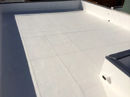 Roof After CRS Silicone Application
