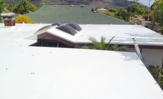 Home With Coated Flat Roof